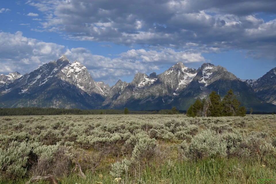 Grand Teton in the Afternoon